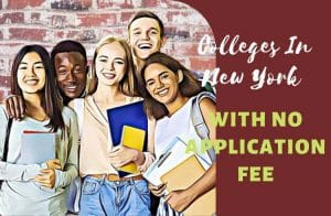 10 Colleges In New York With No Application Fee: New York's Best Kept ...