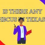 Are there any HBCUs in Texas