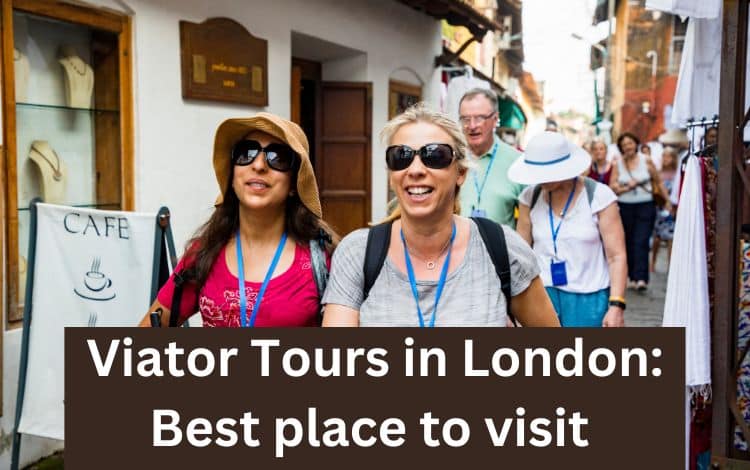Viator Tours in London