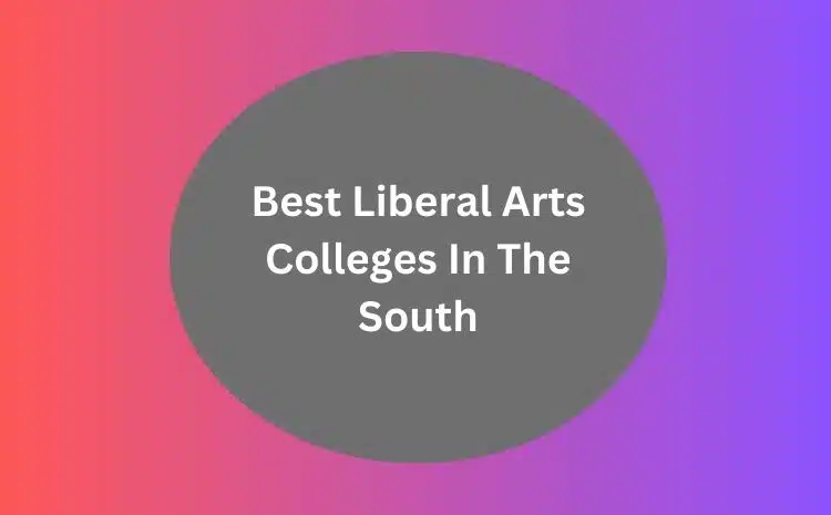 Best Liberal Arts Colleges In The South