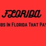 Fun Jobs In Florida That Pay Well
