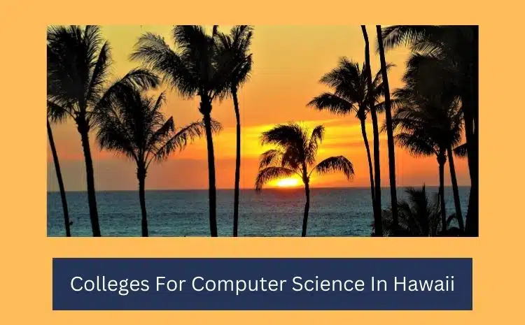 Colleges For Computer Science In Hawaii