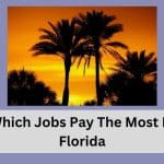 Which Jobs Pay The Most In Florida
