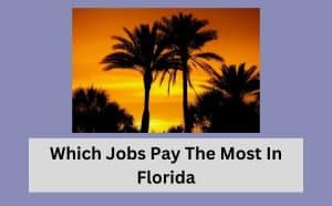 Which Jobs Pay The Most In Florida